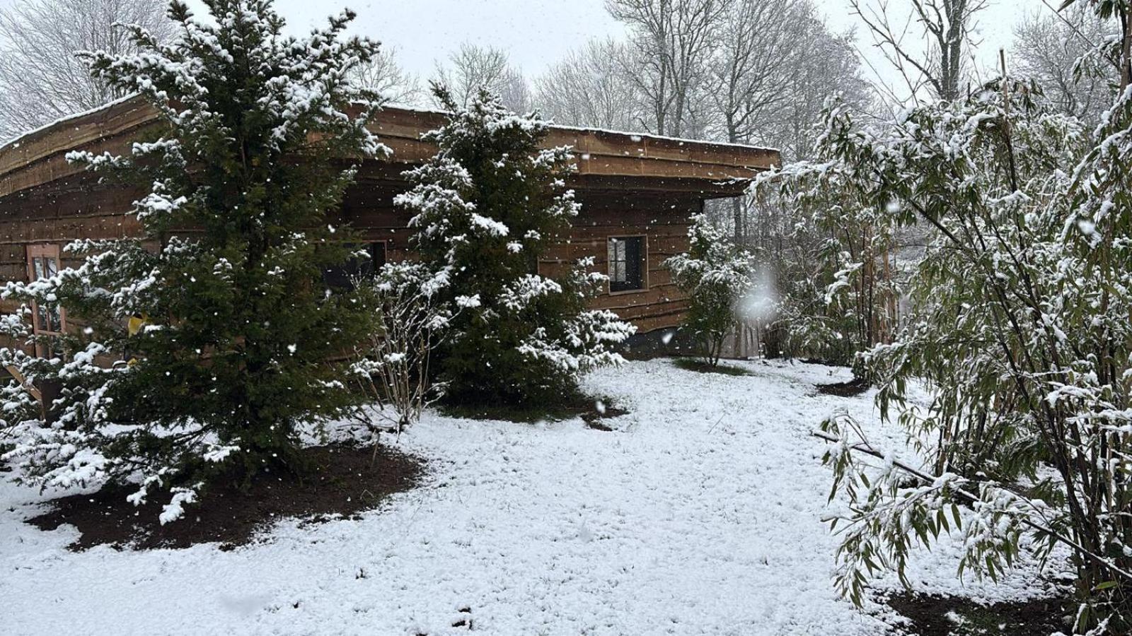 Landgoed Wittelte Dwingeloo Apartamento Exterior foto